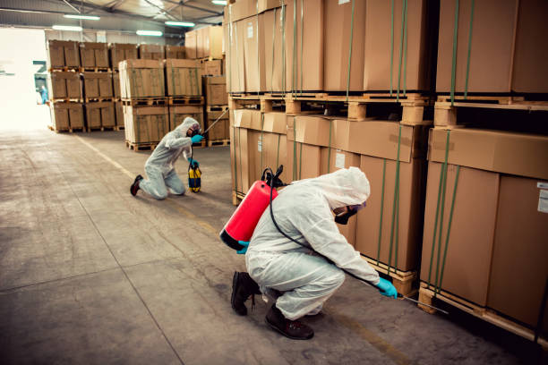 Best Affordable Pest Control Services  in Soh Weber, UT
