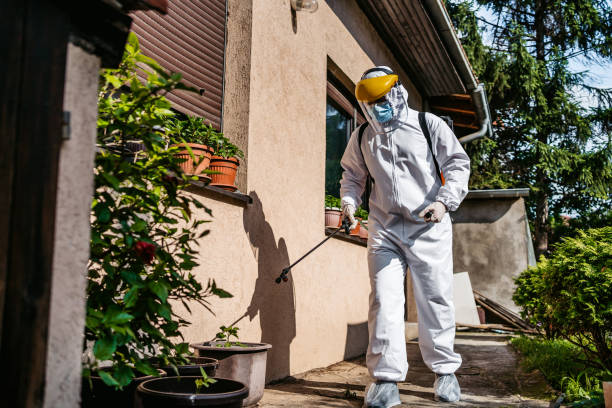 Wasp Removal Services in South Weber, UT
