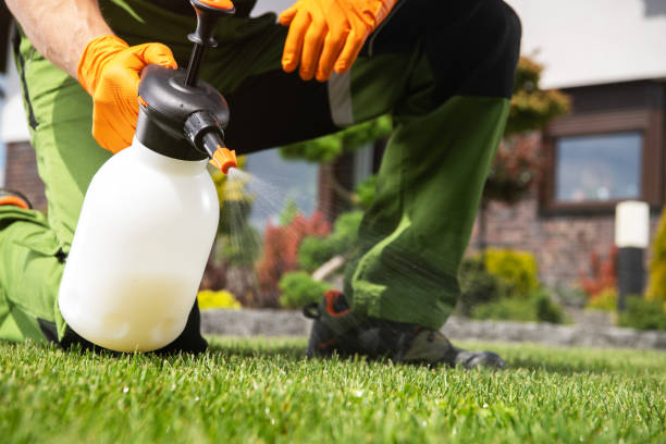 Flea Control Services in South Weber, UT