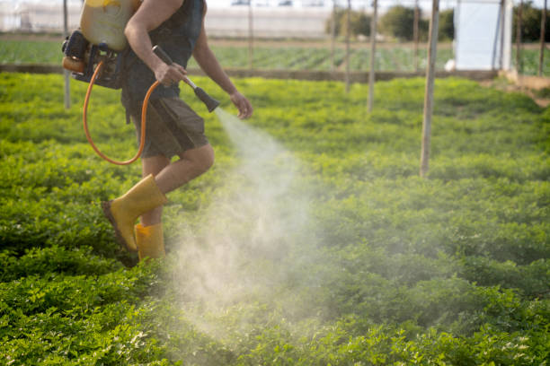 Best Wasp Removal Services  in Soh Weber, UT