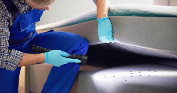 Best Exterminator Services  in Soh Weber, UT
