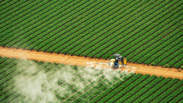 Best Termite Control Services  in Soh Weber, UT