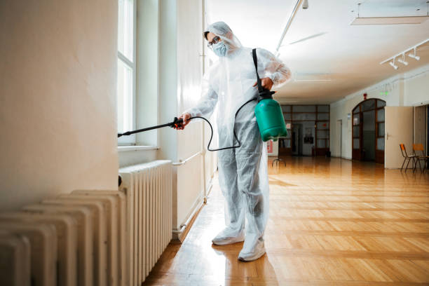 Professional Pest Control in South Weber, UT
