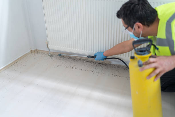 Best Emergency Pest Control  in Soh Weber, UT