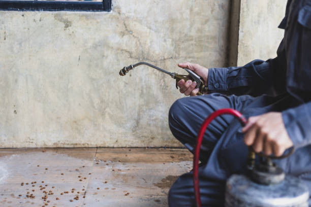 Best Pest Control Near Me  in Soh Weber, UT